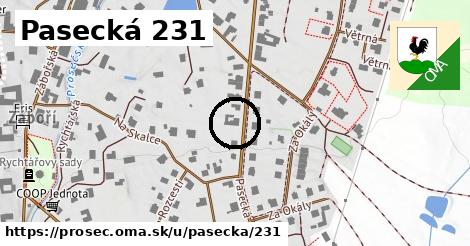 Pasecká 231, Proseč