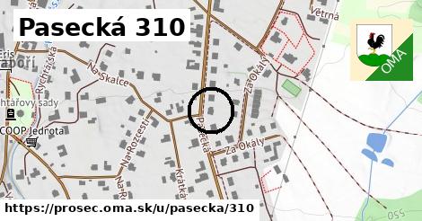 Pasecká 310, Proseč