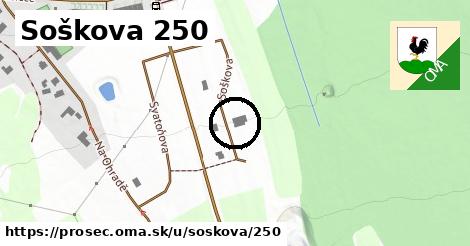 Soškova 250, Proseč
