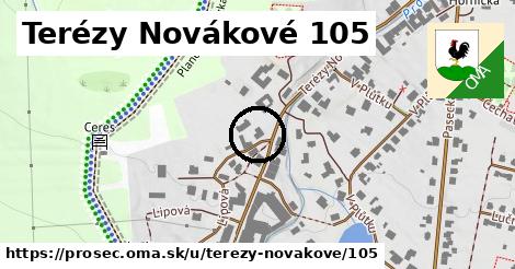 Terézy Novákové 105, Proseč