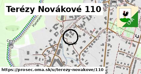 Terézy Novákové 110, Proseč