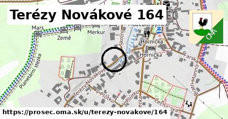 Terézy Novákové 164, Proseč