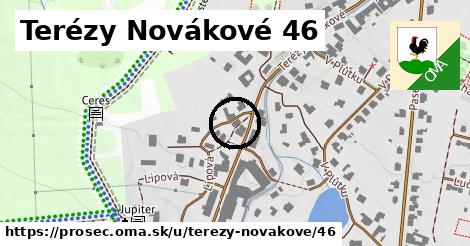 Terézy Novákové 46, Proseč