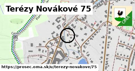 Terézy Novákové 75, Proseč