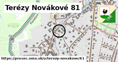 Terézy Novákové 81, Proseč