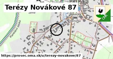 Terézy Novákové 87, Proseč