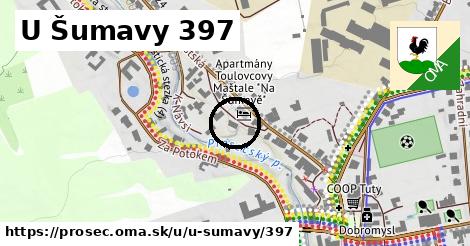 U Šumavy 397, Proseč