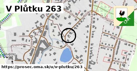 V Plůtku 263, Proseč