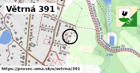 Větrná 391, Proseč