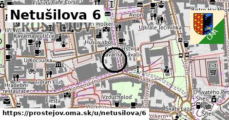 Netušilova 6, Prostějov