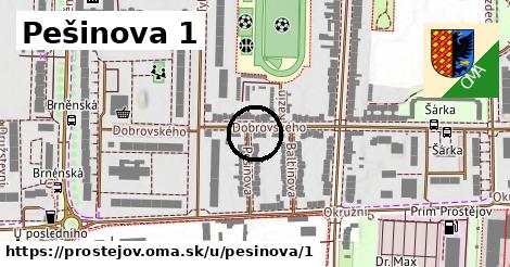 Pešinova 1, Prostějov