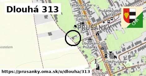 Dlouhá 313, Prušánky