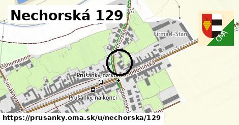 Nechorská 129, Prušánky