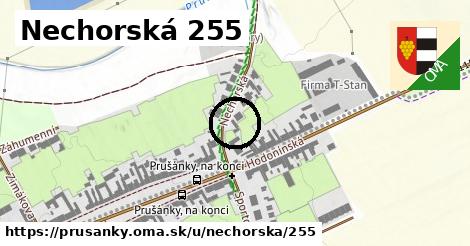 Nechorská 255, Prušánky