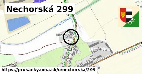 Nechorská 299, Prušánky