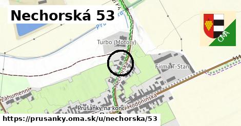 Nechorská 53, Prušánky