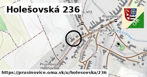 Holešovská 236, Prusinovice