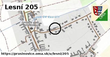 Lesní 205, Prusinovice