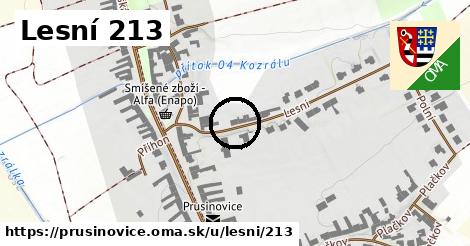 Lesní 213, Prusinovice