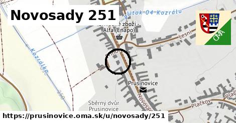 Novosady 251, Prusinovice