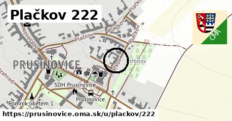 Plačkov 222, Prusinovice