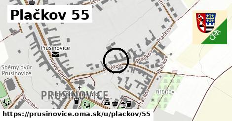 Plačkov 55, Prusinovice