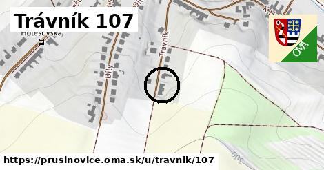 Trávník 107, Prusinovice