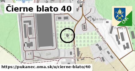 Čierne blato 40, Pukanec