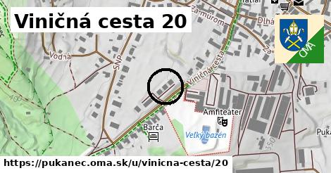 Viničná cesta 20, Pukanec