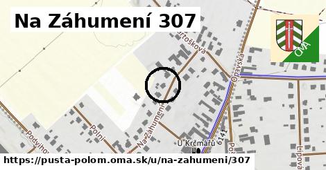 Na Záhumení 307, Pustá Polom