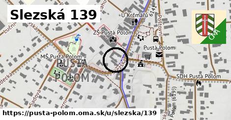 Slezská 139, Pustá Polom