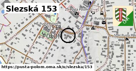 Slezská 153, Pustá Polom