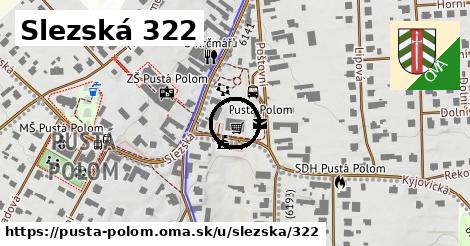 Slezská 322, Pustá Polom