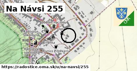 Na Návsi 255, Radostice