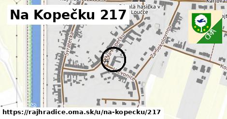 Na Kopečku 217, Rajhradice