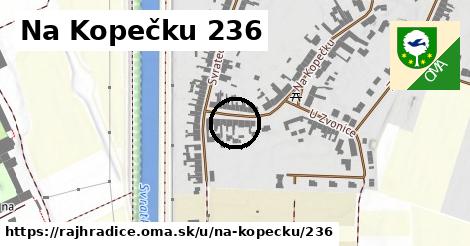 Na Kopečku 236, Rajhradice