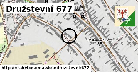 Družstevní 677, Rakvice