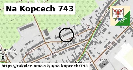 Na Kopcech 743, Rakvice