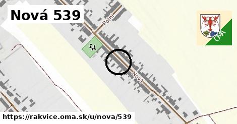 Nová 539, Rakvice