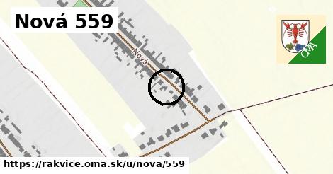 Nová 559, Rakvice