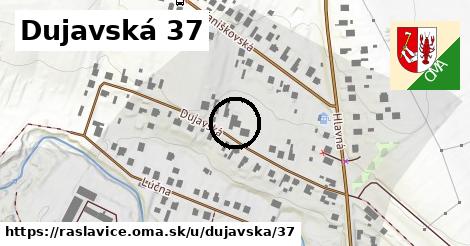 Dujavská 37, Raslavice