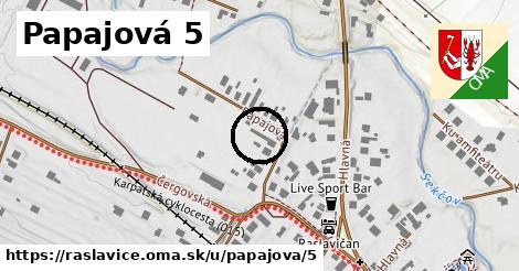 Papajová 5, Raslavice