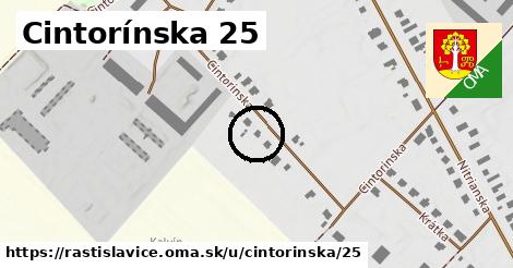 Cintorínska 25, Rastislavice