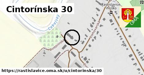Cintorínska 30, Rastislavice