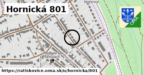 Hornická 801, Ratíškovice
