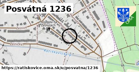 Posvátná 1236, Ratíškovice