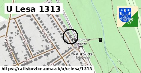 U Lesa 1313, Ratíškovice