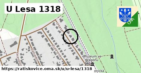 U Lesa 1318, Ratíškovice