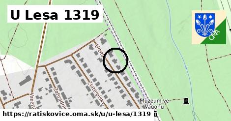 U Lesa 1319, Ratíškovice