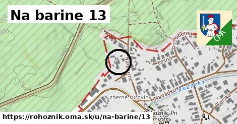 Na barine 13, Rohožník